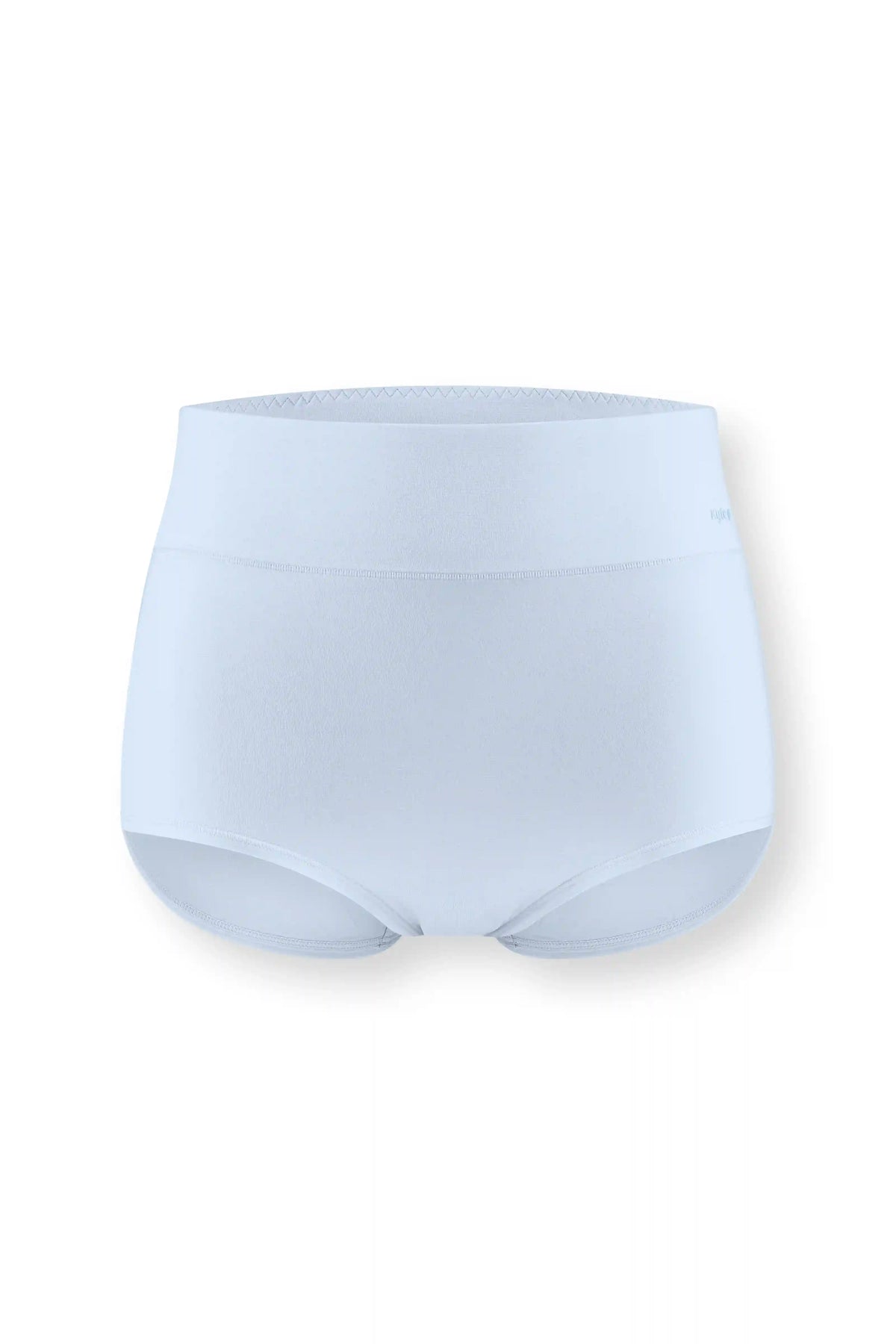 Women's High-Waisted Brief in Breeze