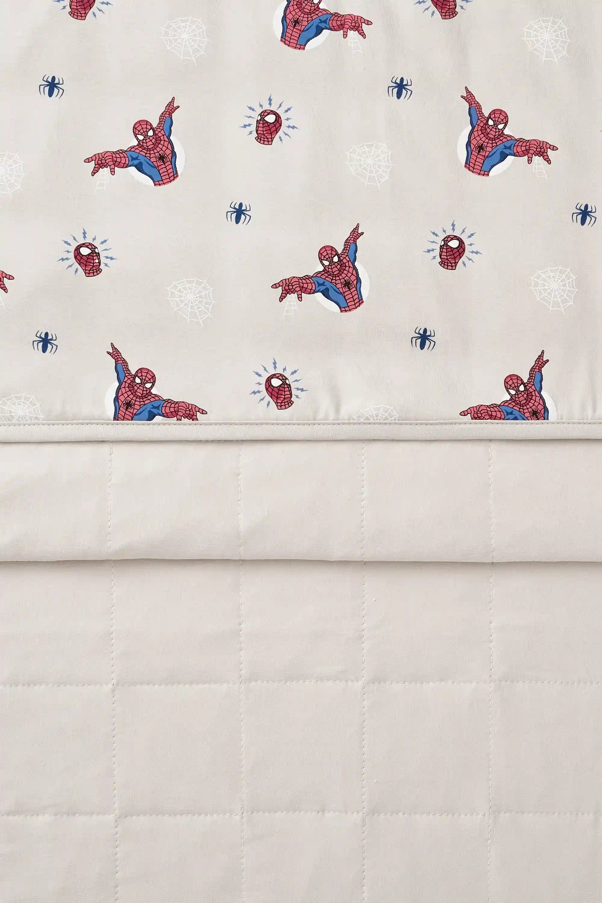 Baby Blanket in Spider-Man 1.0