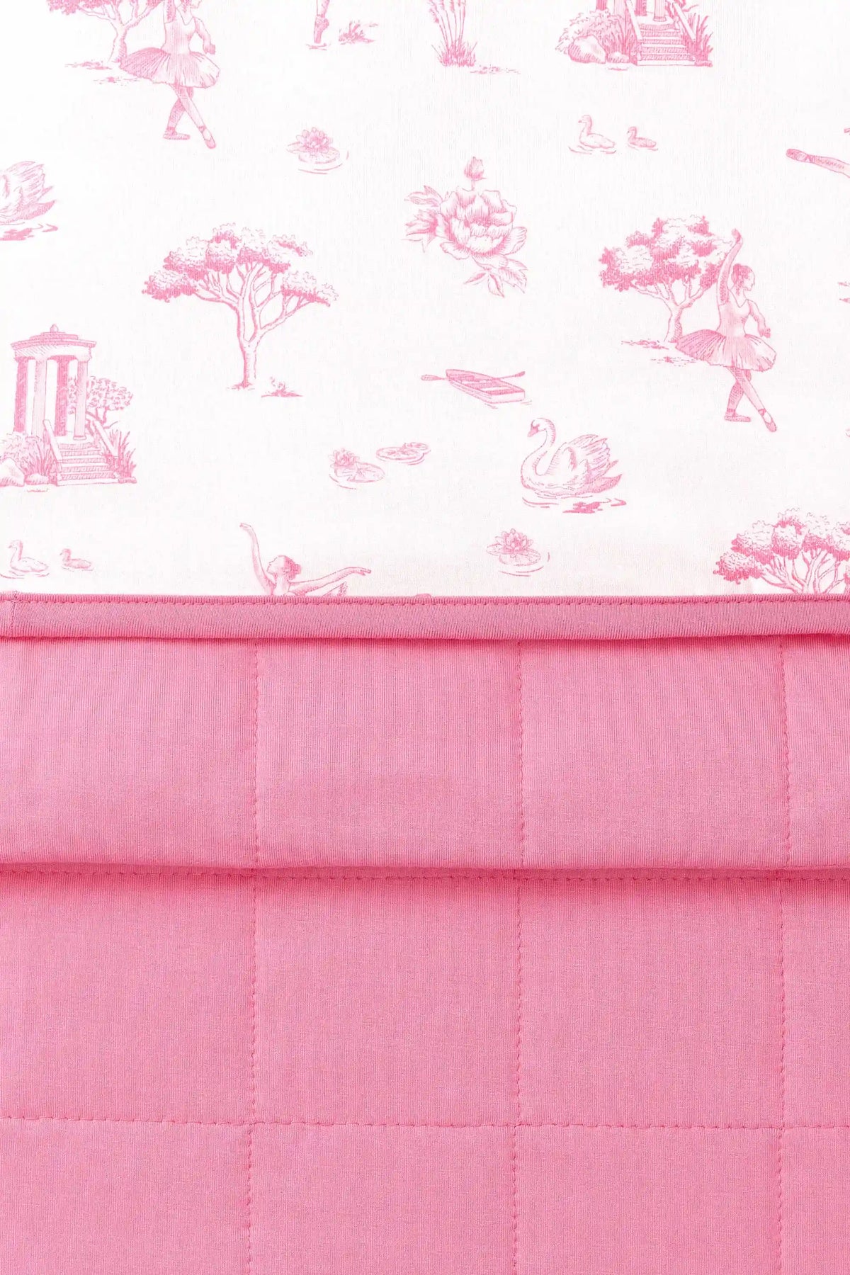 Baby Blanket in Toile Ballet