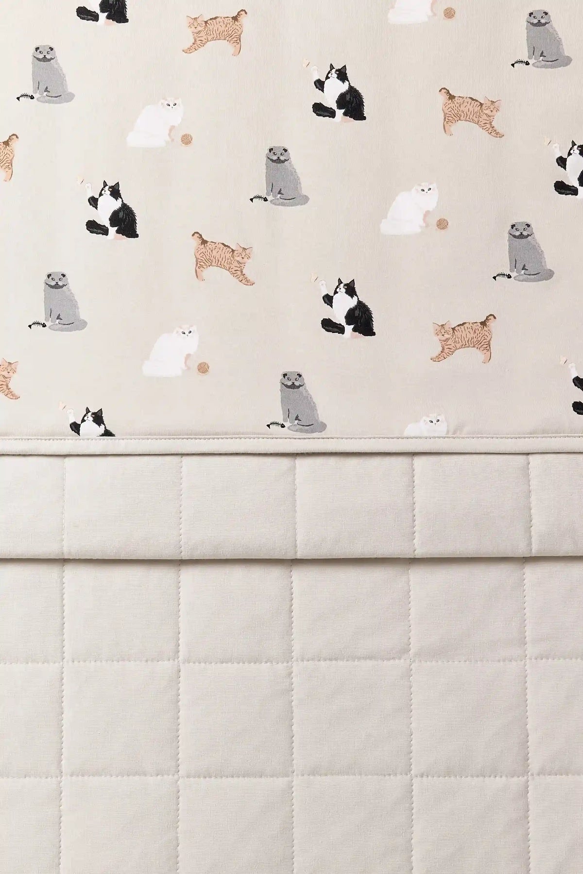 Youth Blanket in Fluffy Cat 1.0