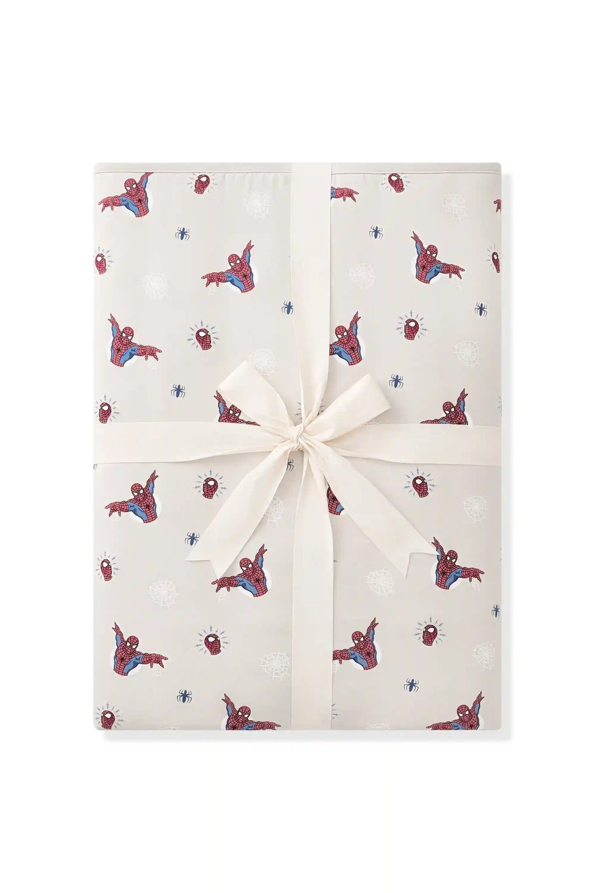 Youth Blanket in Spider-Man 2.5