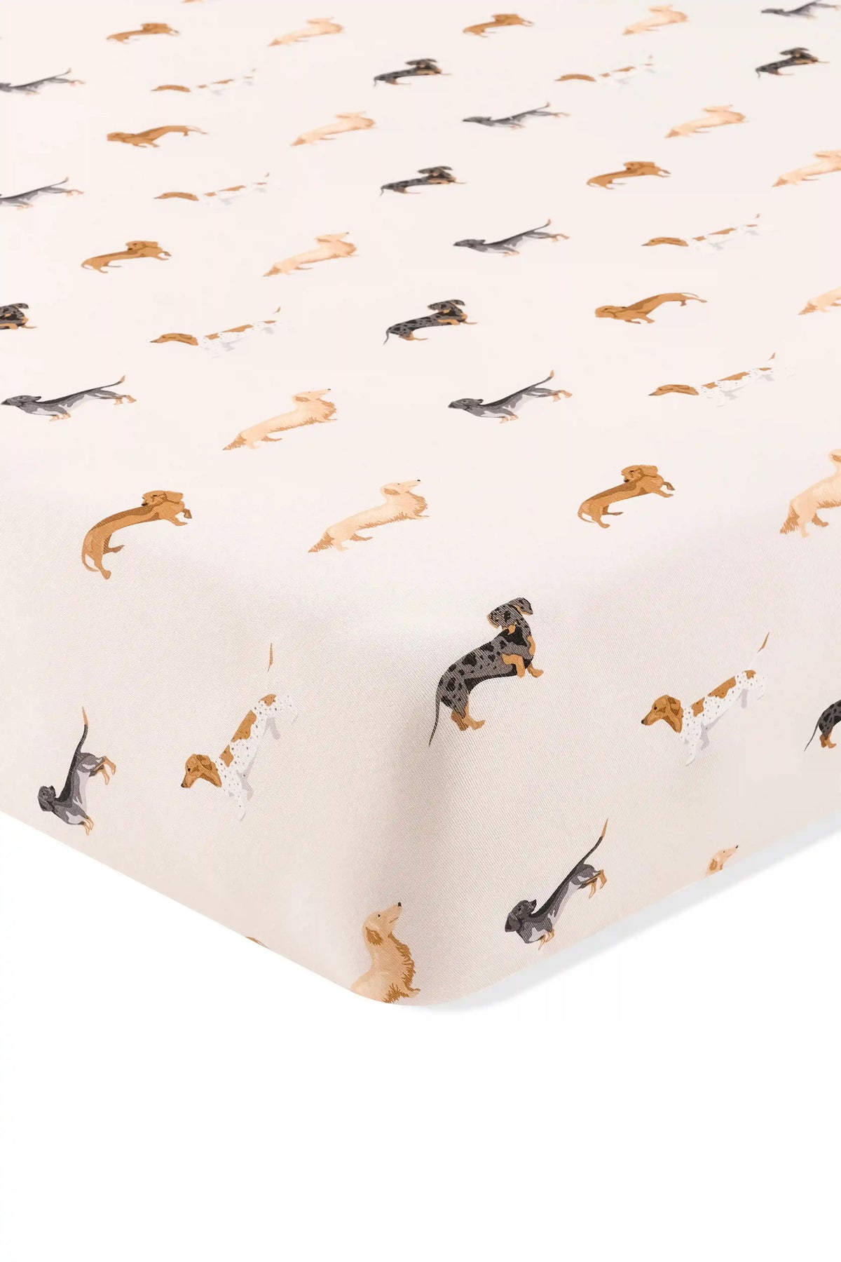 Twin Sheet in Dachshund