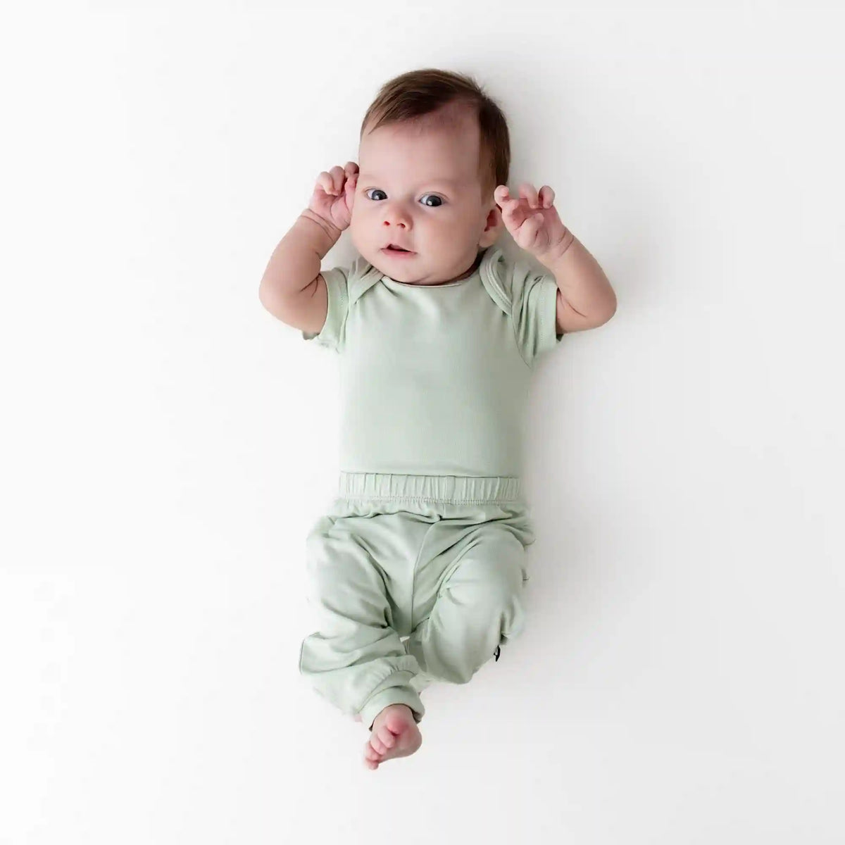 Pant in Basil