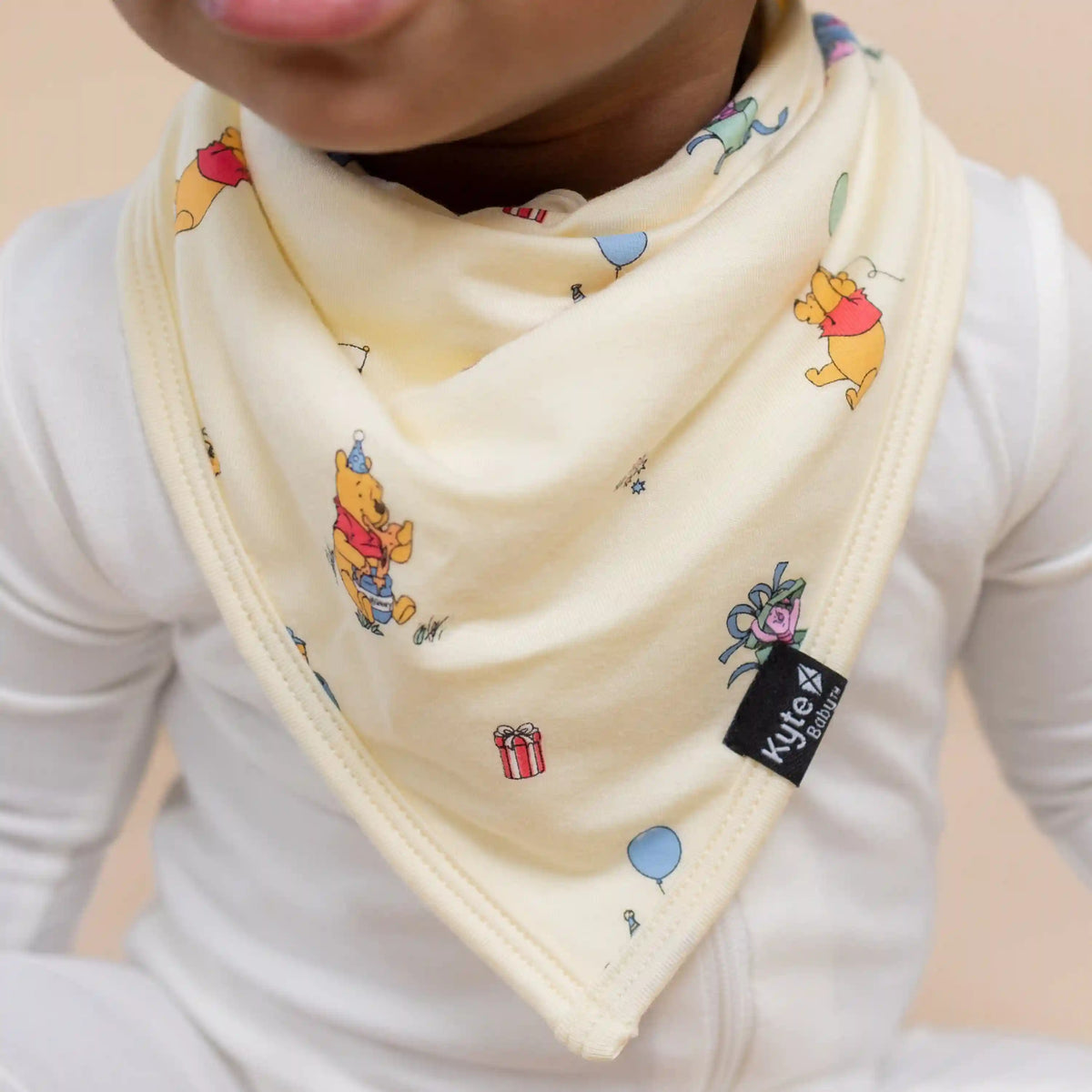 Bib in Winnie the Pooh Celebration