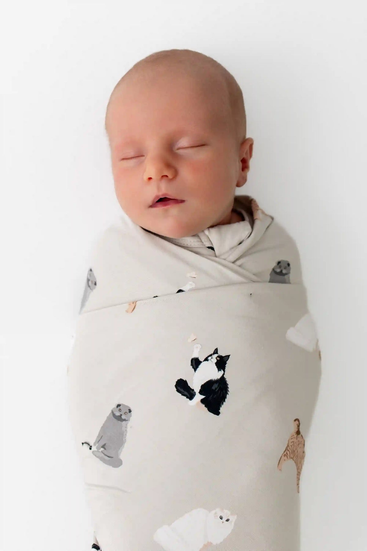 Swaddle Blanket in Fluffy Cat