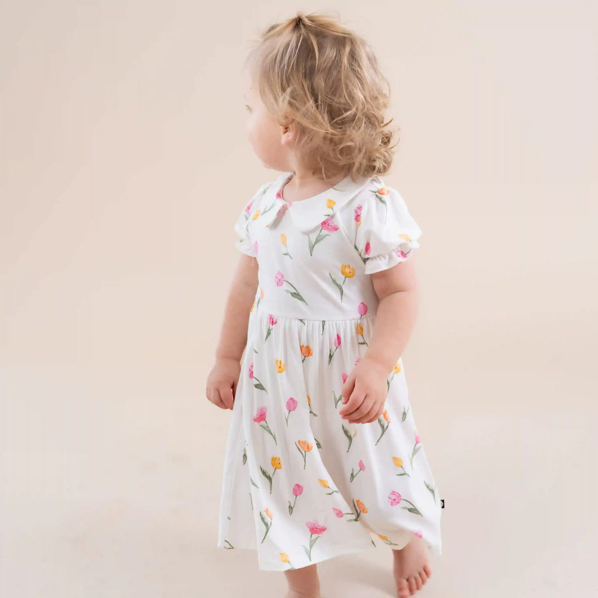 Peter Pan Collar Bodysuit Dress in Tulip