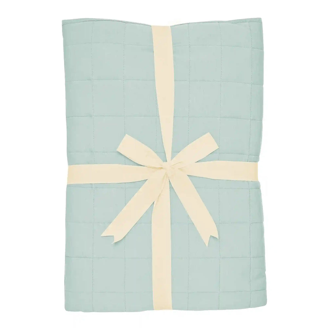 Youth Blanket in Sage 1.0