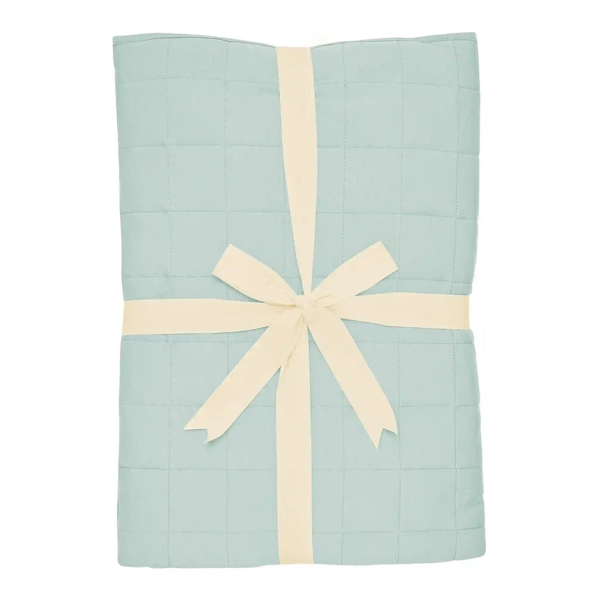 Youth Blanket in Sage 1.0